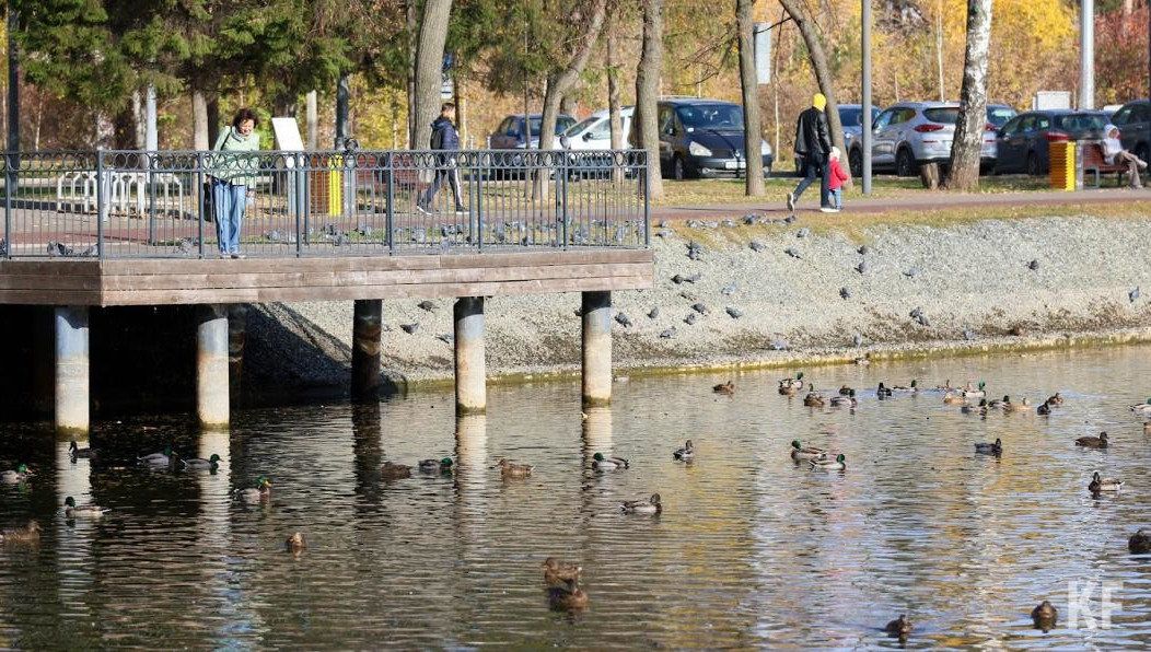 Республика