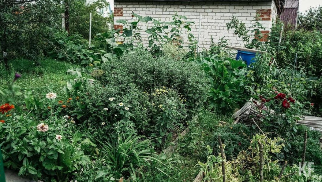 Фигурант дела предоставил ложные сведения о координатах.