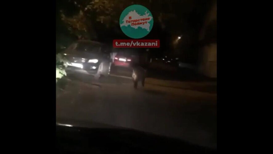 Животное невозмутимо пробежало мимо шокированных очевидцев.