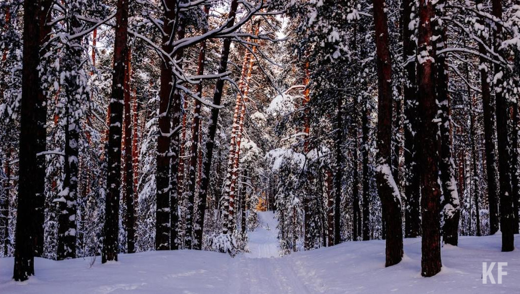 На нарушителей составлено 402 акта.