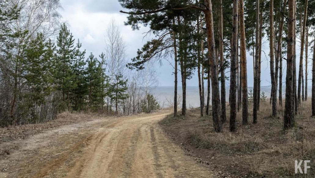 Также введен запрет на въезд транспорта.