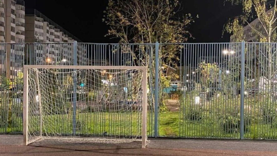 Знакомая пострадавшей позвонила в администрацию района - вместо помощи там предложили обратиться в дирекцию парков.