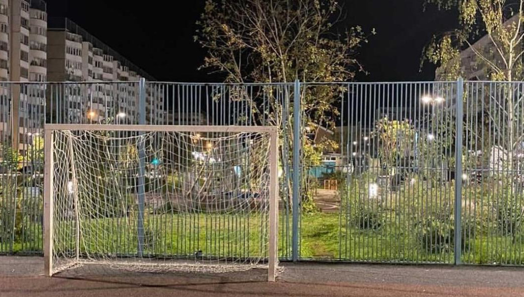 Знакомая пострадавшей позвонила в администрацию района - вместо помощи там предложили обратиться в дирекцию парков.