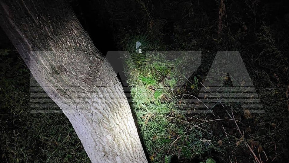 Двое суток девушка провела в изоляторе временного содержания и на следственных действиях.