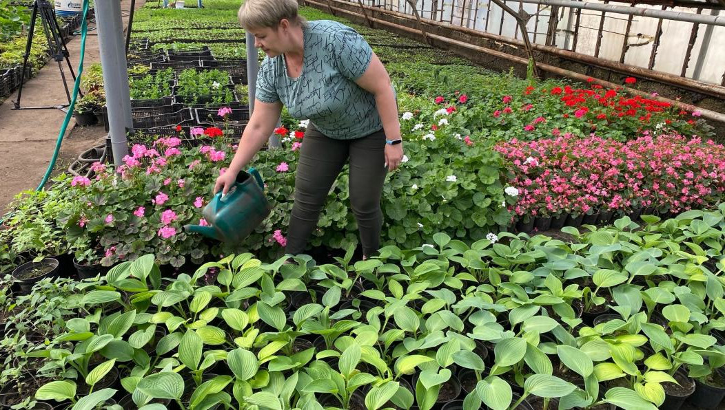 Начать работы планируют с 24 апреля.