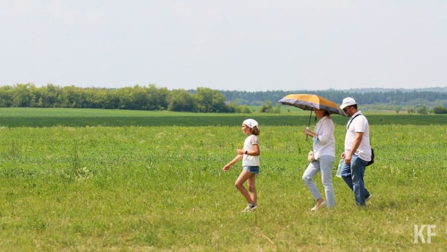 Также специалисты будут отвечать на вопросы зрителей трансляции.