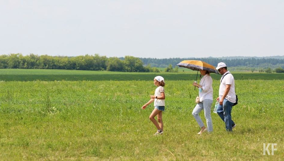 Также специалисты будут отвечать на вопросы зрителей трансляции.