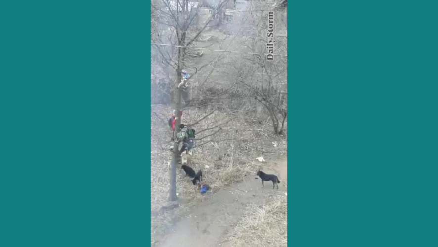 Теперь произошедшем будет заниматься прокуратура.