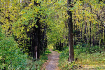 Сбор добровольцев для участия в&nbsp;акции возле входа со&nbsp;стороны съезда с&nbsp;моста Миллениум.
