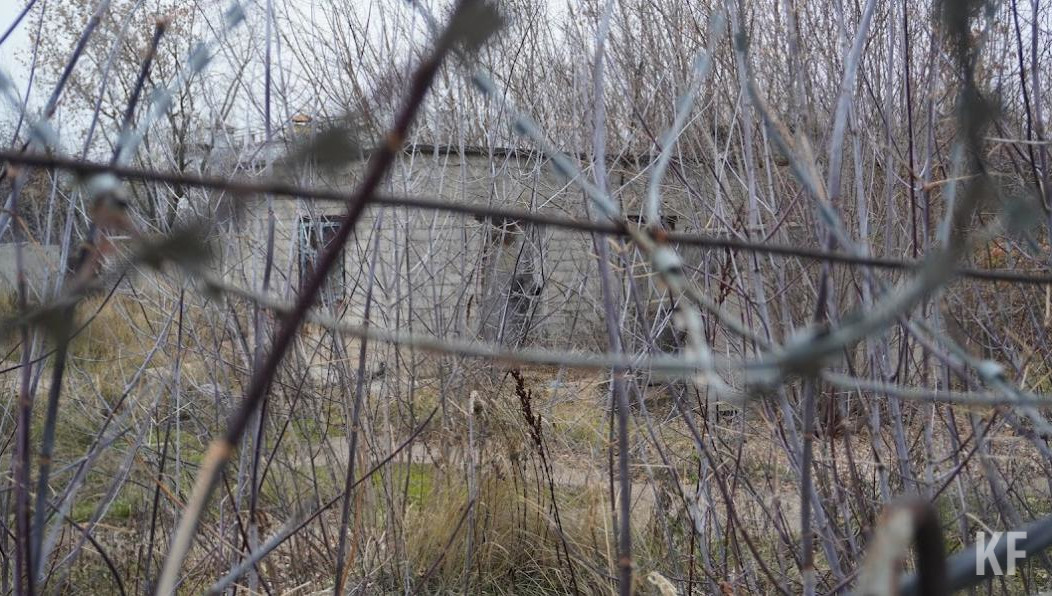 От сжигаемых растений возникает неуправляемое пламя