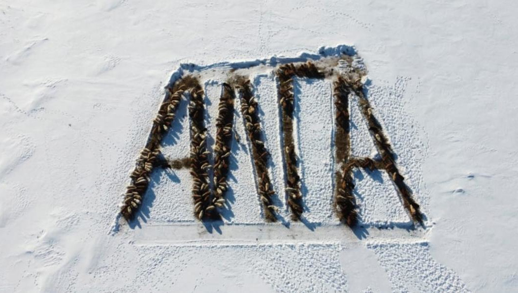 Флешмоб прошел в Лениногорском районе.