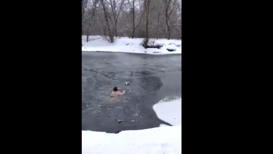 После спасения с ней связалась владелица хаски. Она поблагодарила женщину за такой неравнодушный поступок.