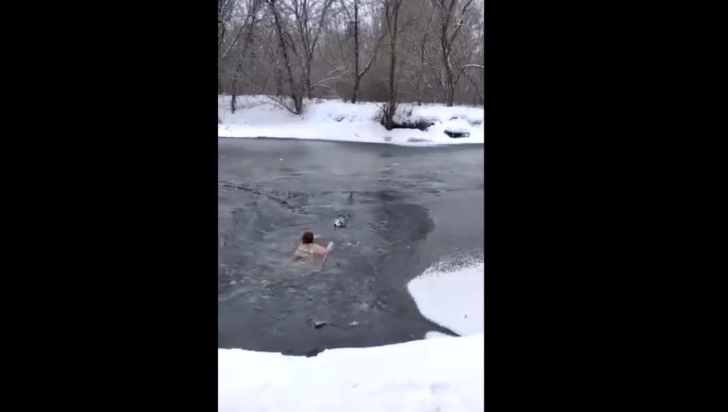 После спасения с ней связалась владелица хаски. Она поблагодарила женщину за такой неравнодушный поступок.