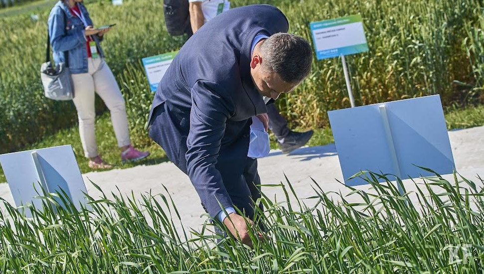 Урожайность в республике упала на 30% из-за заморозков в мае и засушливого лета