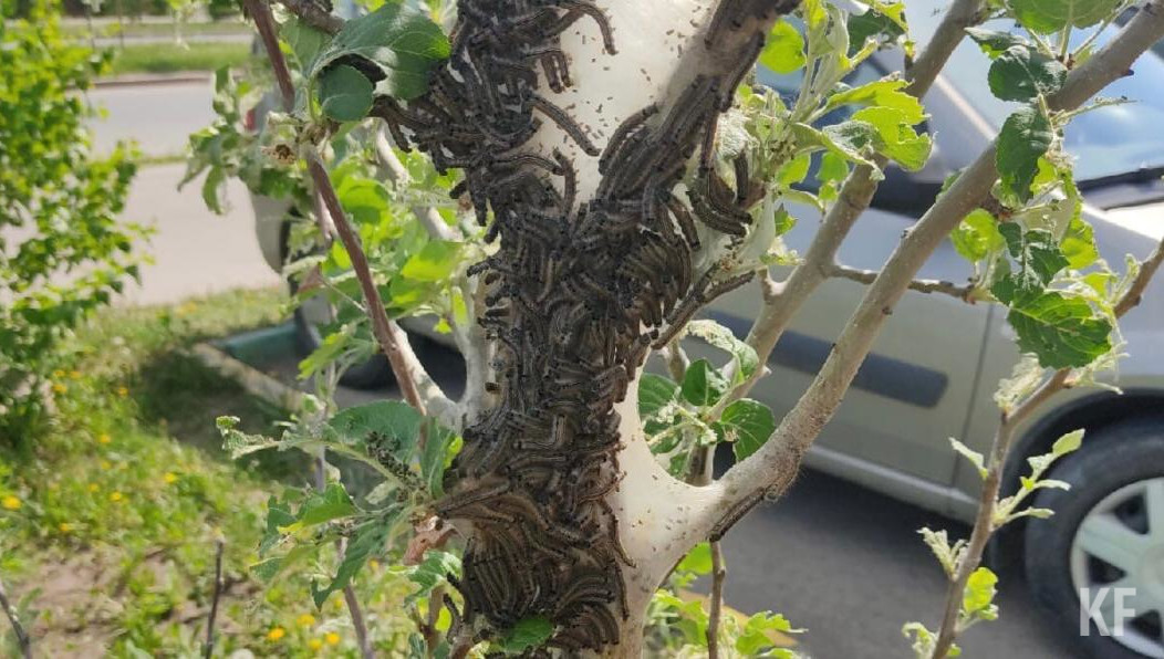 По словам сотрудников