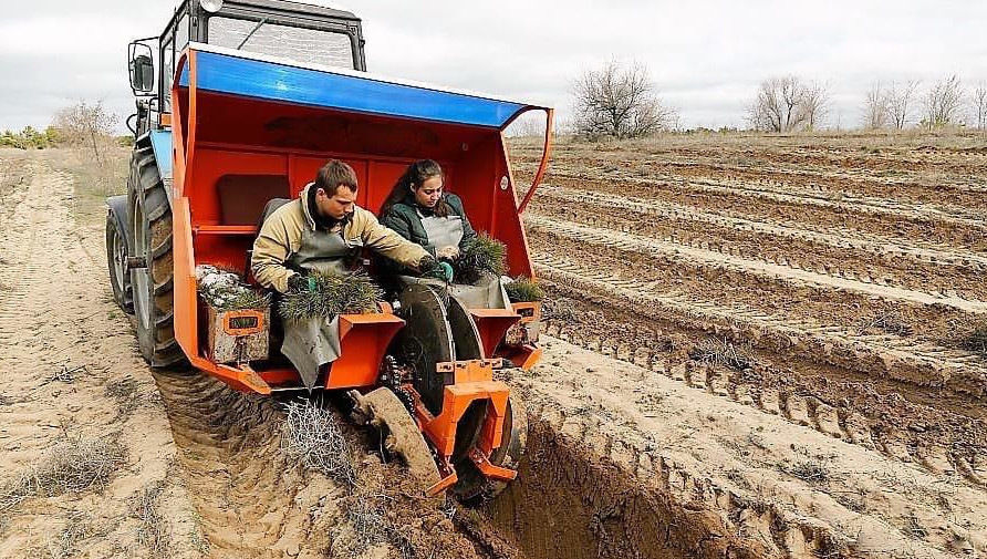 Работы будут выполнены уже осенью этого года.
