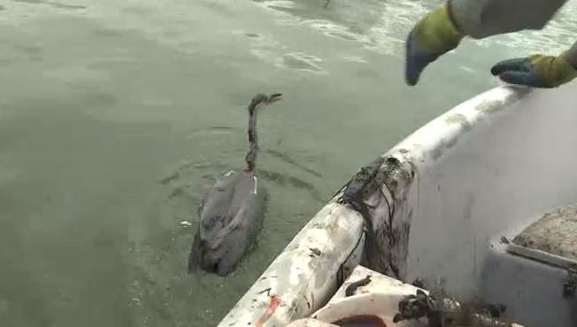 Работники удалили крючок