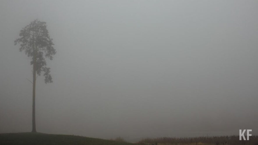 Ночью 23 мая на территории республики синоптики прогнозируют туман.