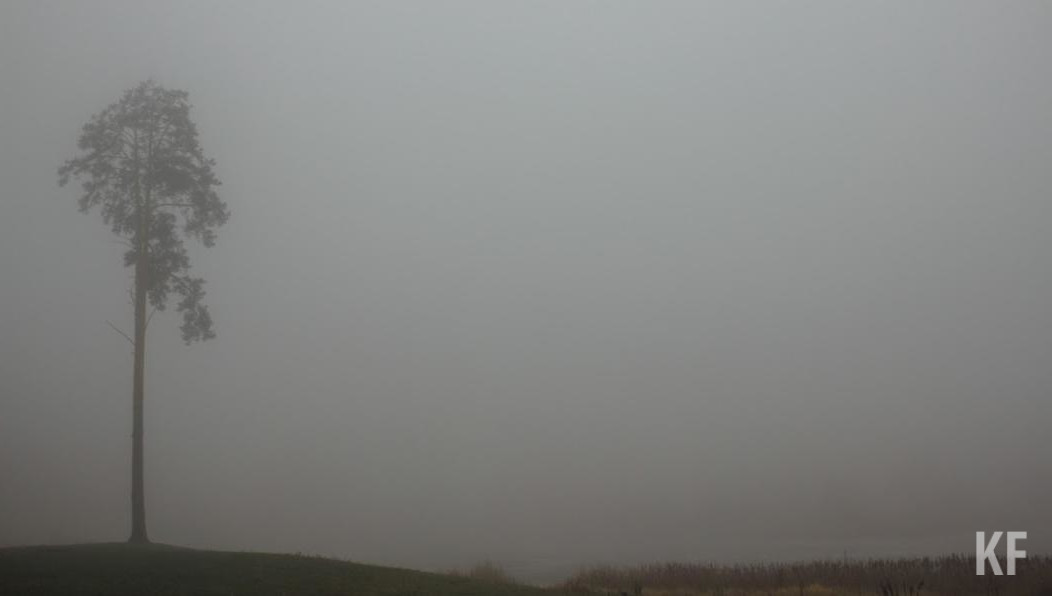 Ночью 23 мая на территории республики синоптики прогнозируют туман.