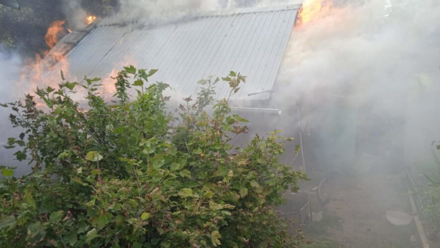 Хозяин оценил ущерб в полмиллиона рублей.