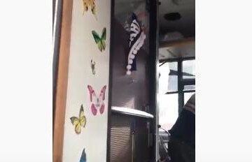 Мужчина обклеил кабину бабочками и повесил шторы.