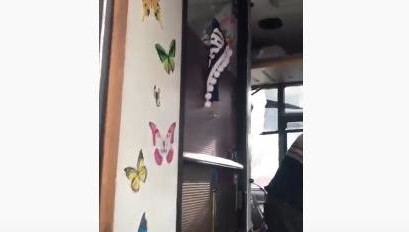 Мужчина обклеил кабину бабочками и повесил шторы.