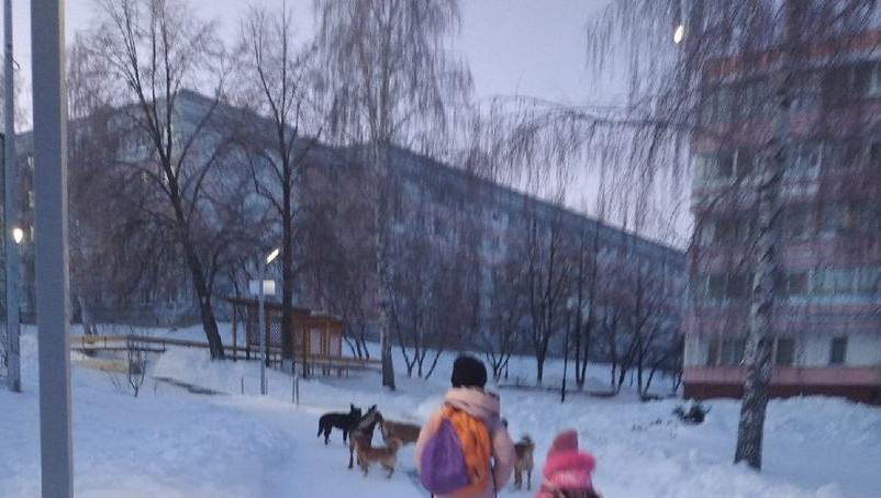 Горожане опасаются за своих детей.