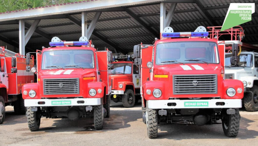 На эти цели из федерального бюджета было выделено 264