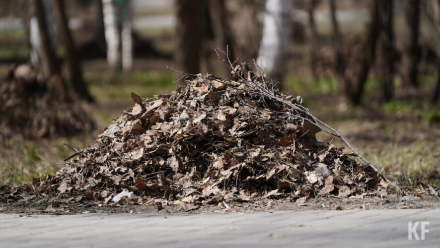 Во всех муниципалитетах уже приступили к уборке парков