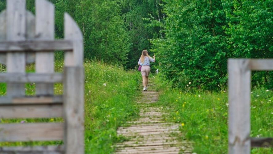 В республике за сезон произошел один лесной пожар