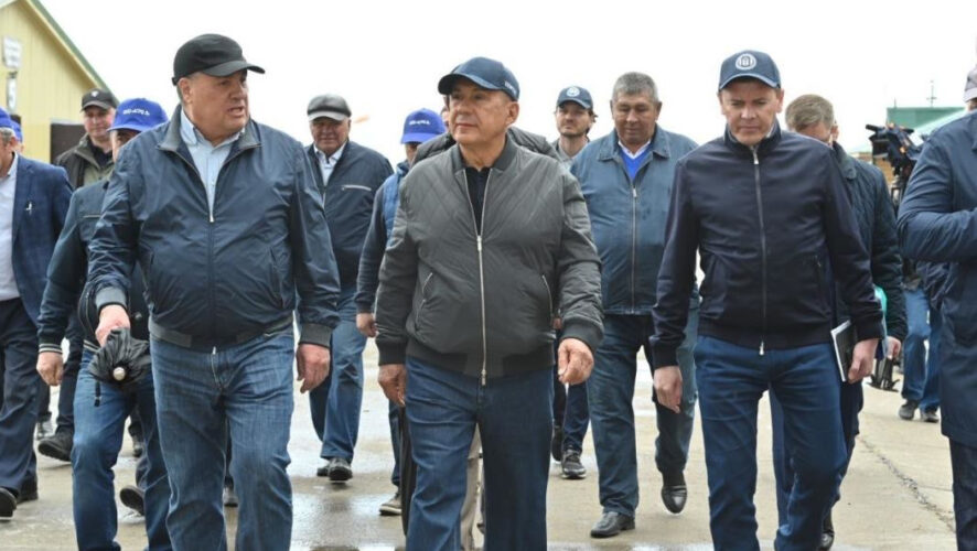 На ферме&nbsp;расположено 4 коровника на 1 тысячу голов.