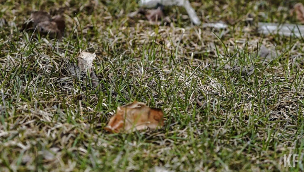 Главный санврач рассказал