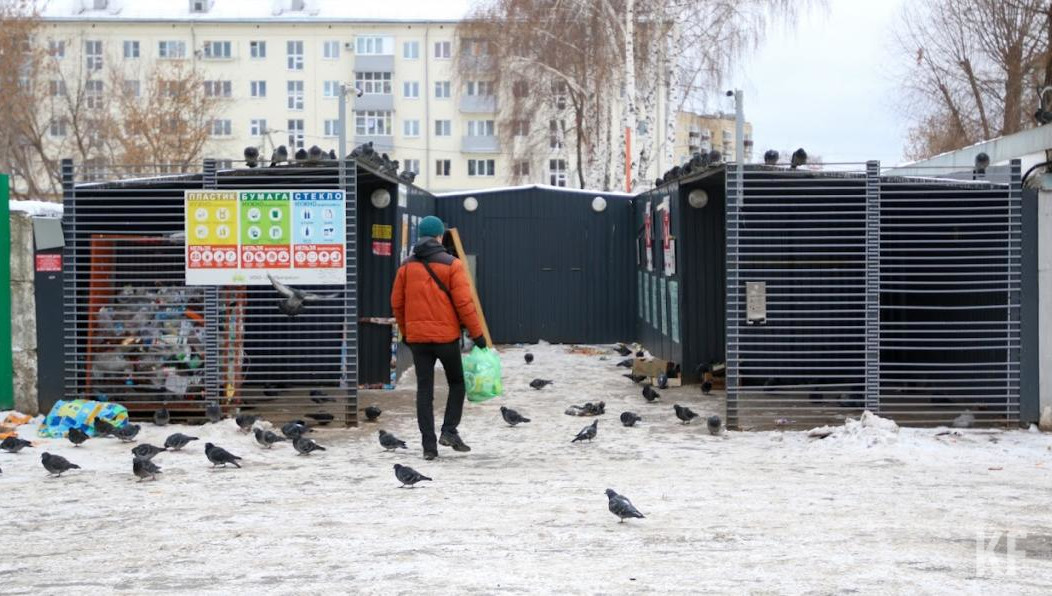Жители республики выйдут на улицу убирать мусор и сажать деревья.
