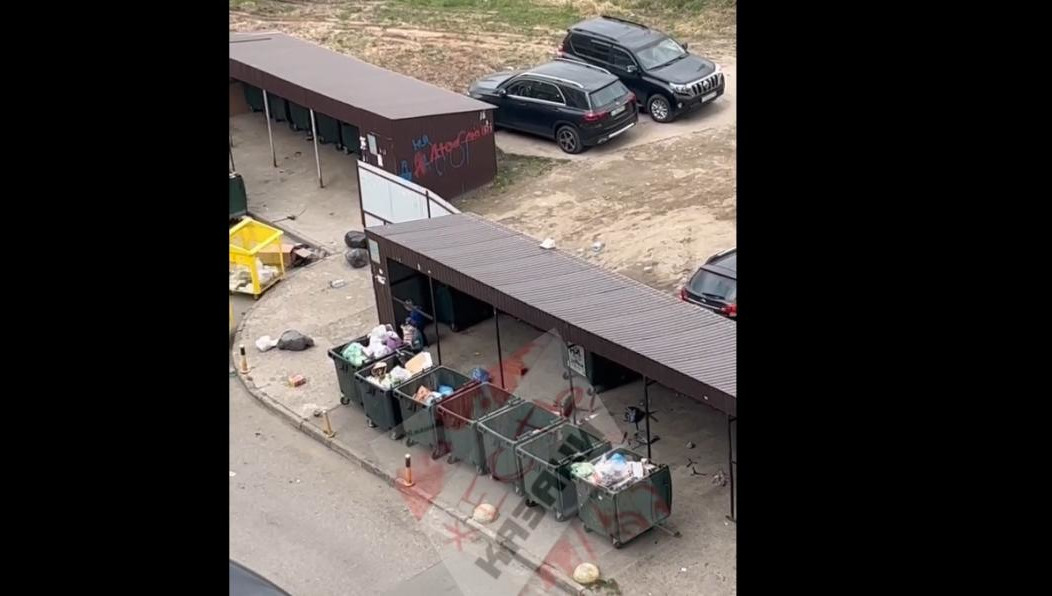 Жительница дома неподалеку скинула ребятам фрукты и спросила