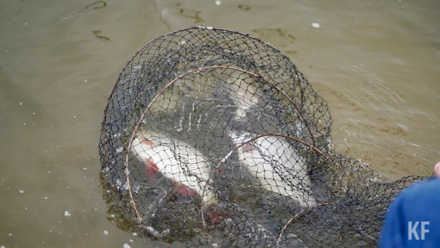 У любителей незаконной рыбалки изъяли надувную лодку