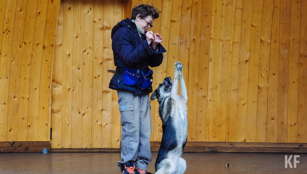 Также специалист расскажет как воспитывать и содержать питомцев.