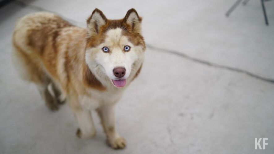 Она умерла в больнице.