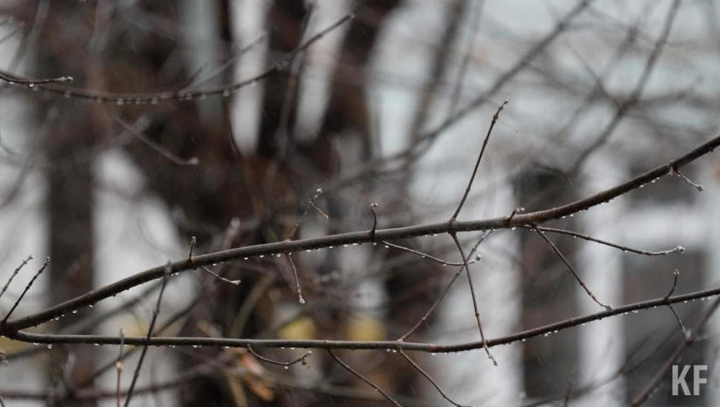 Выбрана местность с холмистым рельефом