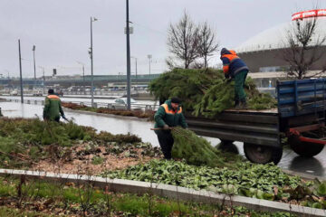 Чтобы защитить растения