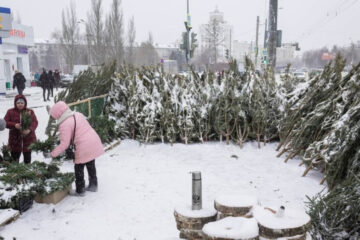 Контейнеры для деревьев поставили в Казани и Набережных Челнах.