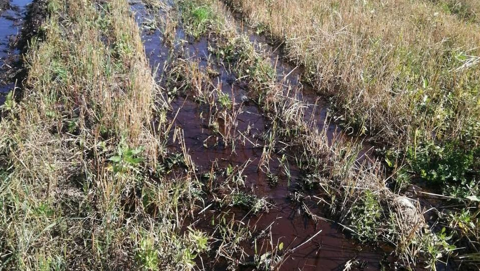 Обрыв полированного штока скважины произошел на площадке цеха «Лениногорскнефти».