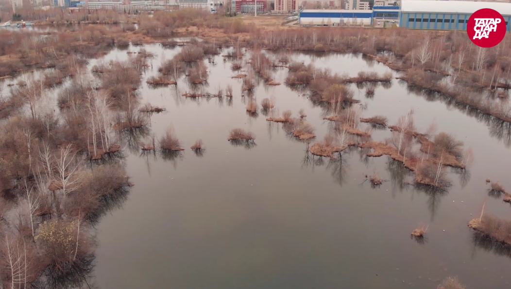 Самими грязными озерами можно назвать Малое Чуйково и озеро у Авторынка на улице Амирхана.