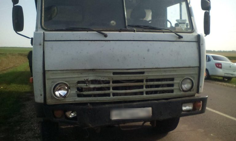сбитый грузовиком на автодороге «Чистополь-Акбулатово»