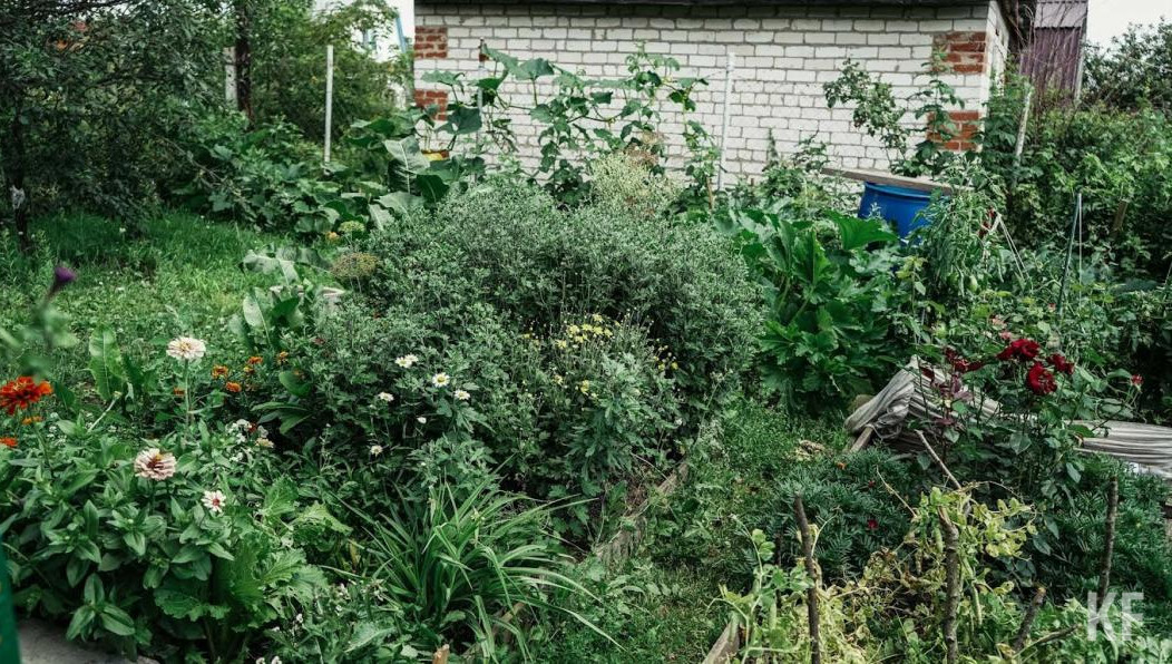 Ребенок сейчас в реанимации.