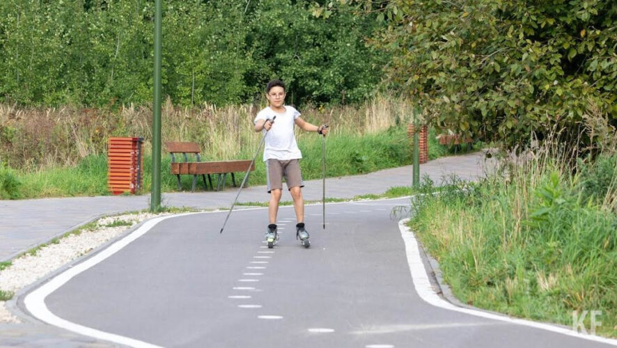 &laquo;Поймать&raquo; опасное насекомое можно даже в городском парке.