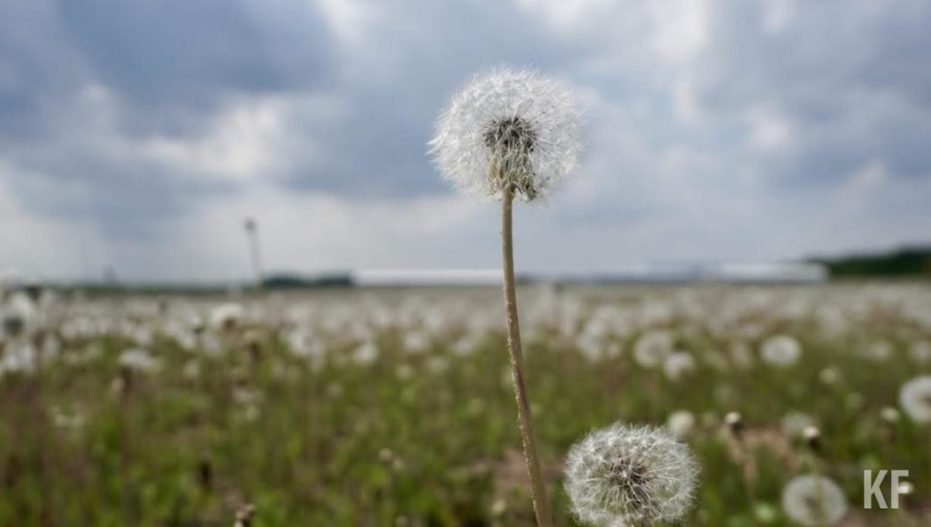 Также синоптики обещают ночью дождь.