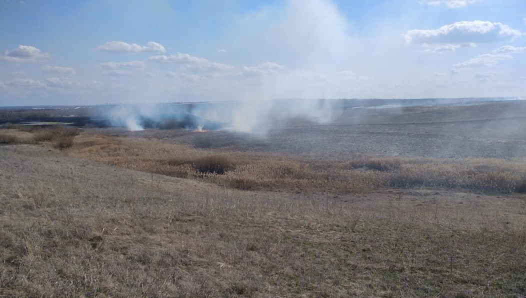 Реже горит сухостой на территории города.