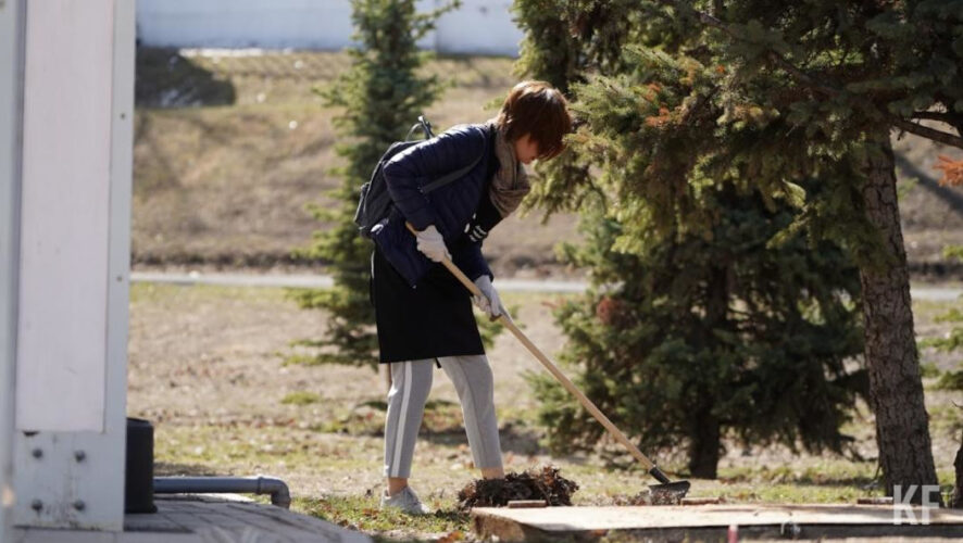 Александр Шадриков заявил