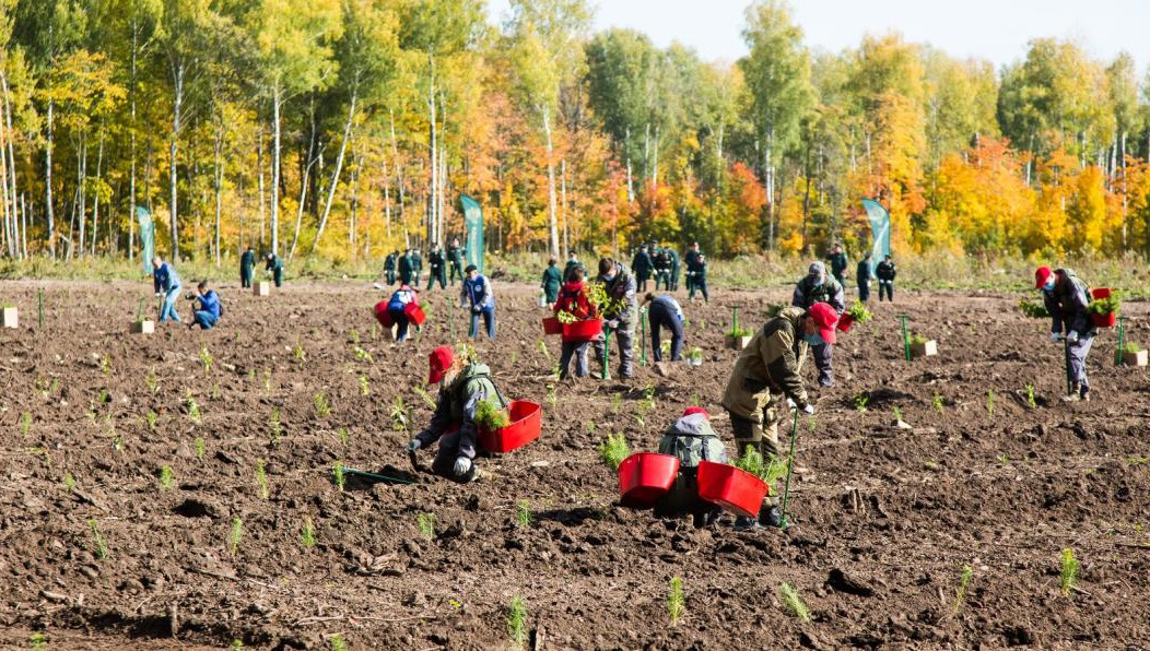 Под Казанью мероприятие состоится на 4 площадках.