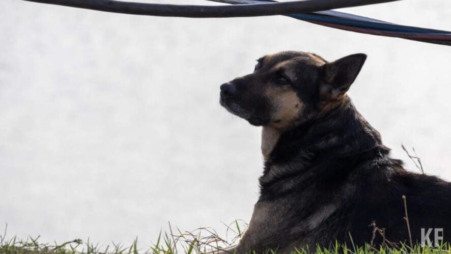 Руководителя&nbsp;обвиняют в халатности